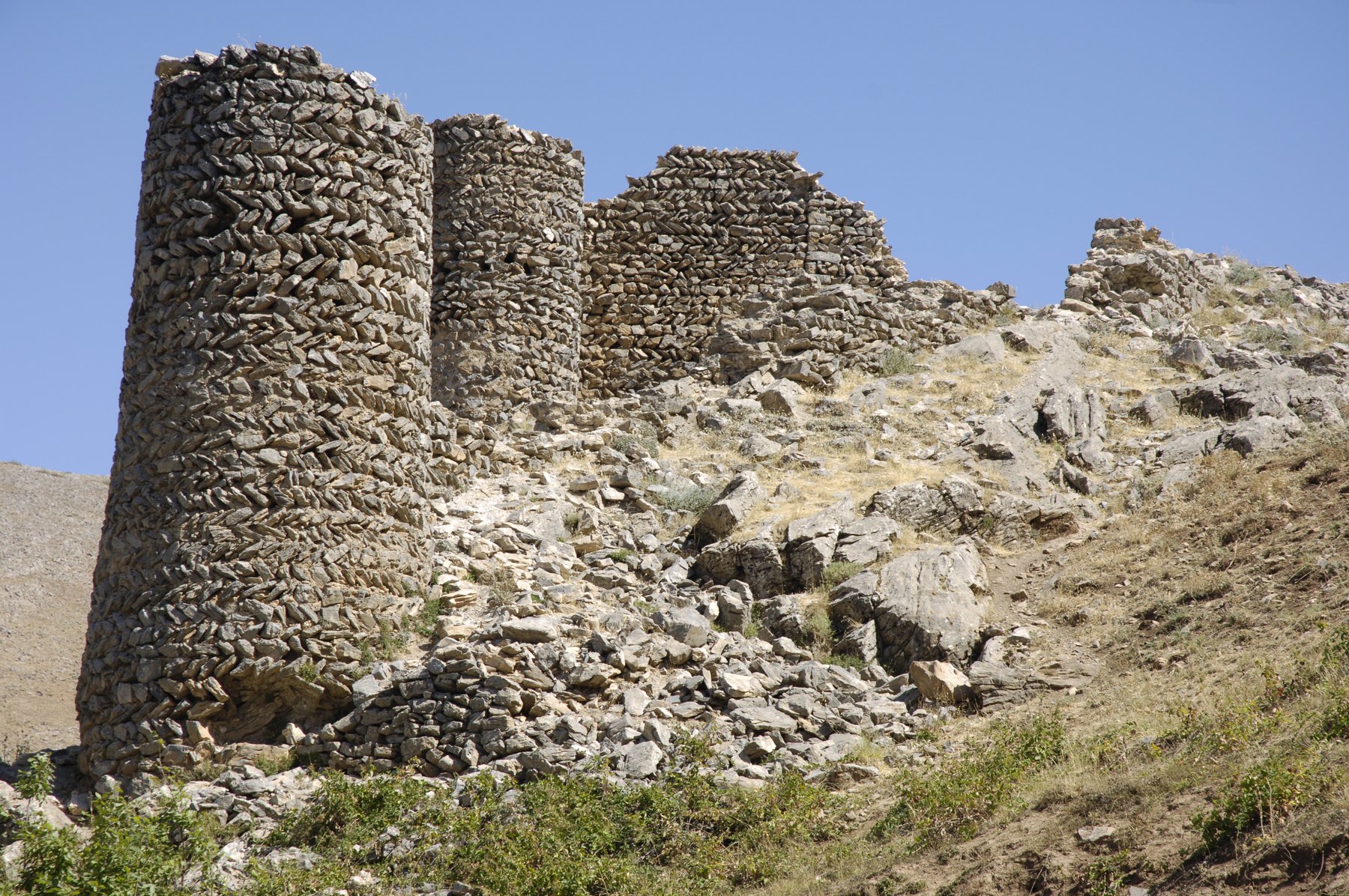 Մուշ