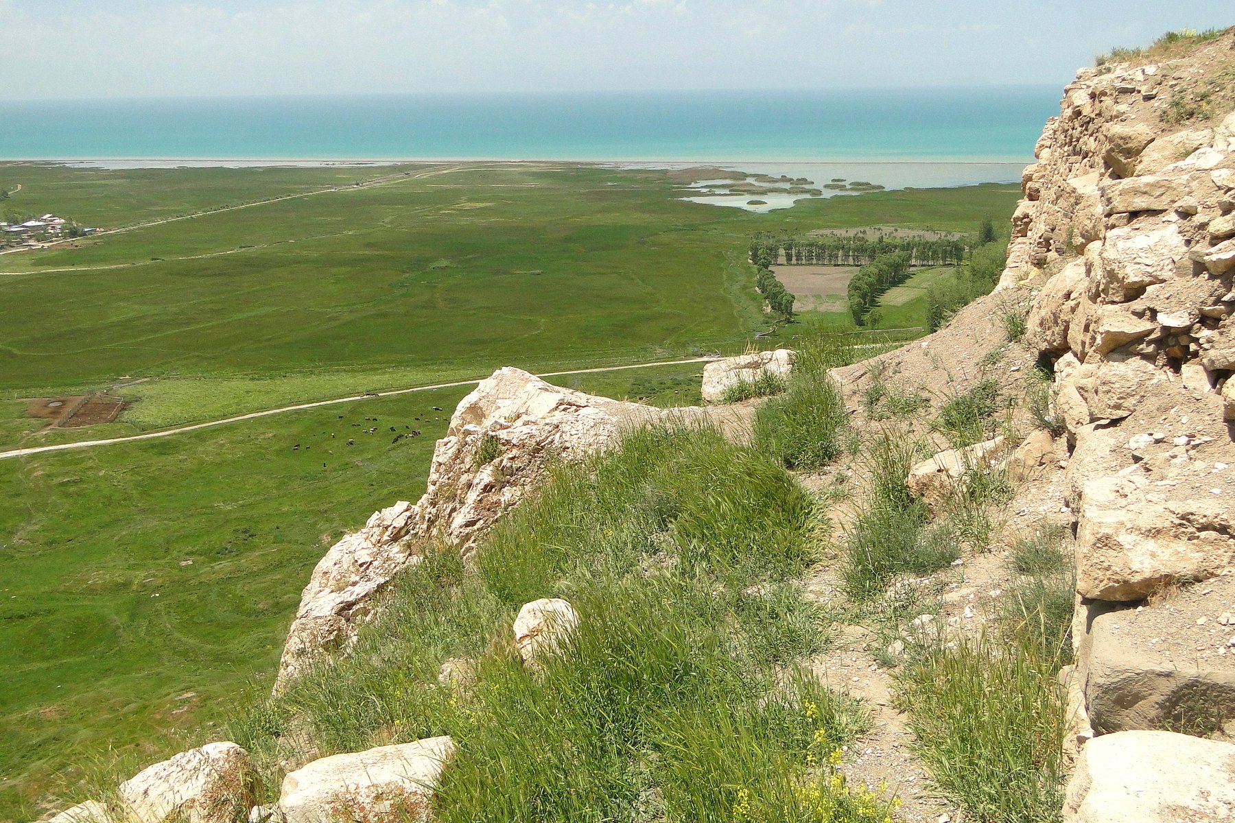 Վան