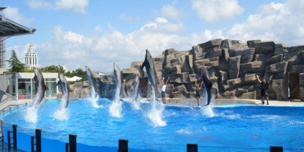 Batumi-dolphinarium